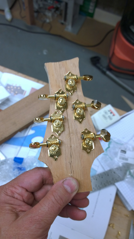 Headstock shape confirmed