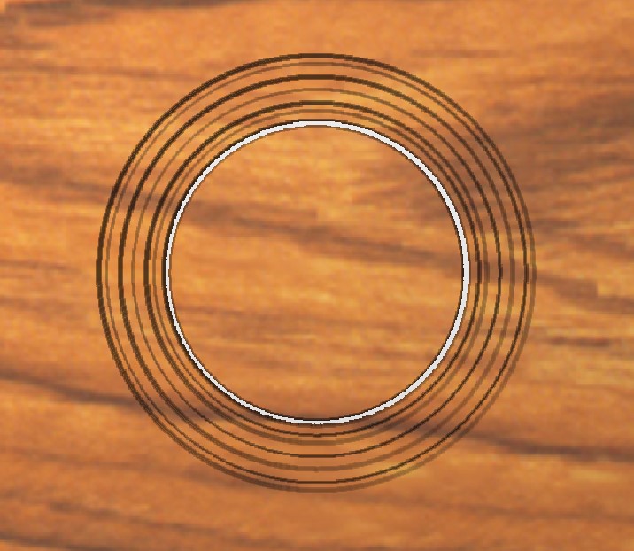 Rosette CAD — three-ring Martin 00 nod
